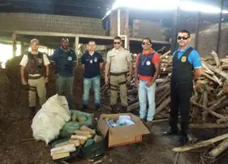 Polícia incinera 87 quilos de drogas em Teixeira de Freitas