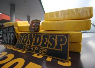 Polícia intercepta meio milhão em cocaína que iria para o Nordeste