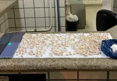 Polícia Militar apreende drogas e celulares em construção abandonada em Teixeira de Freitas