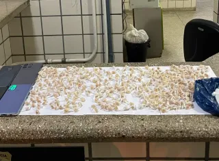 Polícia Militar apreende drogas e celulares em construção abandonada em Teixeira de Freitas