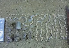 Polícia Militar apreende drogas no bairro Rosa Luxemburgo, em Teixeira de Freitas