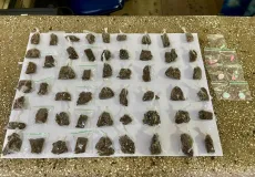 Polícia Militar apreende maconha e LSD em Teixeira de Freitas