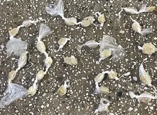 Polícia Militar apreende pedras de crack durante rondas em Teixeira de Freitas