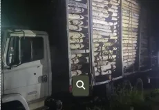 Polícia Militar recupera caminhão com carga de madeira suspeita de furto na região de Monte Pascoal