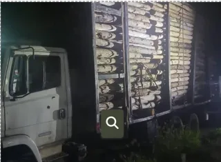 Polícia Militar recupera caminhão com carga de madeira suspeita de furto na região de Monte Pascoal