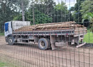 Policiais da CIPPA/PS apreendem carga de madeira ilegal em Porto Seguro.