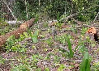 Policiais militares da CIPPA/PS notificam condomínio em Arraial D’Ajuda por Crime Ambiental