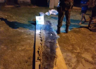 Policiais militares da CIPPA/PS prendem homem que aparece em vídeo extraindo a carne de uma cobra de cinco metros em Santa Cruz Cabrália.