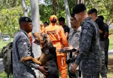 Policiais militares são capacitados para conduzir cães em buscas por pessoas desaparecidas