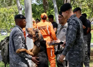 Policiais militares são capacitados para conduzir cães em buscas por pessoas desaparecidas