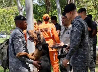 Policiais militares são capacitados para conduzir cães em buscas por pessoas desaparecidas