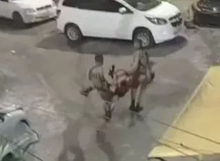 Policial Militar e dois suspeitos morrem em troca de trios  em Salvador