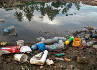 Poluição plástica é tema do Dia Mundial do Meio Ambiente 2018