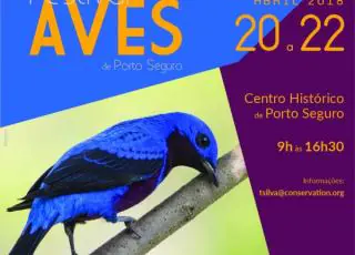 Porto Seguro sedia primeiro Festival de Aves