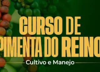Prefeitura de Alcobaça abre inscrições para curso gratuito de cultivo e manejo da pimenta-do-reino