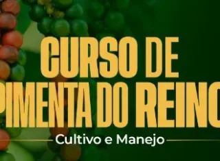 Prefeitura de Alcobaça abre inscrições para curso gratuito de cultivo e manejo da pimenta-do-reino