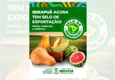 Prefeitura de Ibirapuã celebra conquista de selo para exportação de melão, melancia e abóbora e reforça compromisso com o fortalecimento da agricultura local