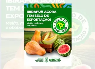 Prefeitura de Ibirapuã celebra conquista de selo para exportação de melão, melancia e abóbora e reforça compromisso com o fortalecimento da agricultura local