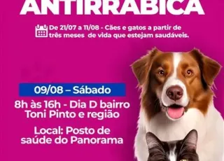 Prefeitura de Ibirapuã intensifica campanha de vacinação antirrábica com Dia D neste sábado