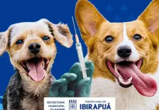 Prefeitura de Ibirapuã realiza Dia D de Vacinação Antirrábica neste sábado