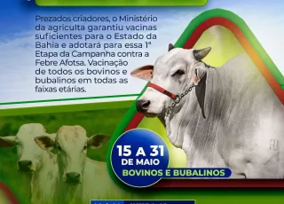 Prefeitura de Medeiros Neto reafirma a importância da vacinação na 1ª etapa da Campanha de Vacinação contra a Febre Aftosa em bovinos e bubalinos