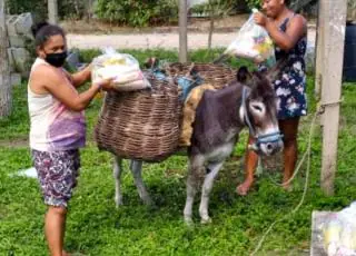 Prefeitura de Mucuri chega a lugares isolados para entregar kits alimentação para famílias de alunos