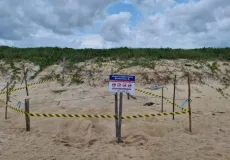 Prefeitura de Mucuri instala placas para proteger Tartarugas Marinhas na Orla