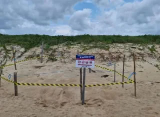 Prefeitura de Mucuri instala placas para proteger Tartarugas Marinhas na Orla