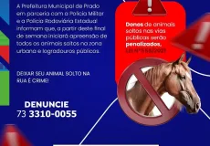 Prefeitura de Prado e Polícia iniciam operação de apreensão de animais nas vias públicas
