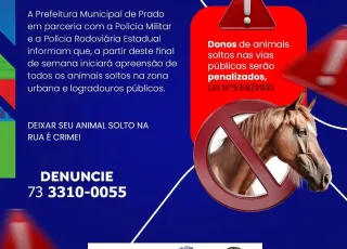 Prefeitura de Prado e Polícia iniciam operação de apreensão de animais nas vias públicas