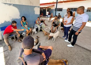 Prefeitura de Prado realiza ação de saúde para animais de estimação 