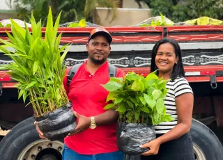 Prefeitura de Prado recebe 15 mil mudas de cacau e açaí para fortalecer agricultura familiar