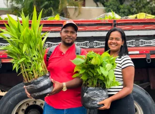 Prefeitura de Prado recebe 15 mil mudas de cacau e açaí para fortalecer agricultura familiar