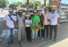 Prefeitura de Teixeira de Freitas distribui mais de 500 mudas nativas por meio de drive thru 