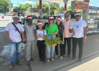 Prefeitura de Teixeira de Freitas distribui mais de 500 mudas nativas por meio de drive thru 