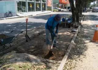 Prefeitura de Teixeira de Freitas efetua serviço de revitalização de canteiros da Avenida Kaikan