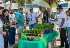 Prefeitura de Teixeira de Freitas inicia Mês do Meio Ambiente com drive thru de mudas nativas da Mata Atlântica; confira programação