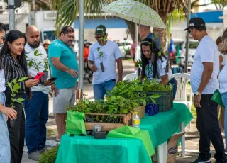Prefeitura de Teixeira de Freitas inicia Mês do Meio Ambiente com drive thru de mudas nativas da Mata Atlântica; confira programação