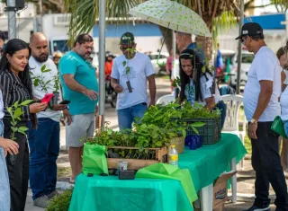 Prefeitura de Teixeira de Freitas inicia Mês do Meio Ambiente com drive thru de mudas nativas da Mata Atlântica; confira programação