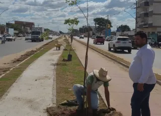 Prefeitura de Teixeira de Freitas inicia plantio de ipês na ciclovia da Avenida Presidente Getúlio Vargas