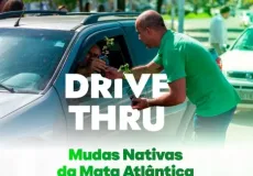 Prefeitura de Teixeira de Freitas realiza distribuição gratuita de mudas nativas em ação ambiental