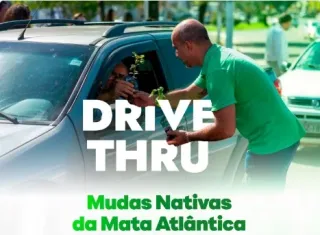 Prefeitura de Teixeira de Freitas realiza distribuição gratuita de mudas nativas em ação ambiental