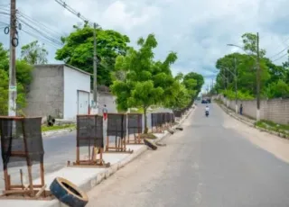    Prefeitura de Teixeira de Freitas realiza melhorias no paisagismo da Avenida Kaikan em Teixeira de Freitas