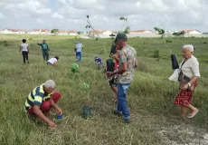 Prefeitura de Teixeira de Freitas realiza plantio de mudas nativas com idosos assistidos pelo CRAS