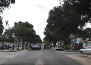 Prefeitura de Teixeira de Freitas realiza poda de árvores na avenida Getúlio Vargas