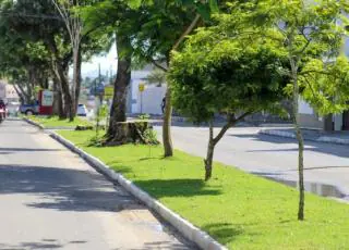 Prefeitura de Teixeira de Freitas realiza trabalho de paisagismo na Avenida Brasil