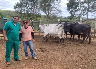 Prefeitura de Teixeira realiza assistência veterinária próximo à estrada do Piatã