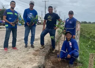 Prefeitura e Embasa começam novos plantios de árvores na cidade de Mucuri