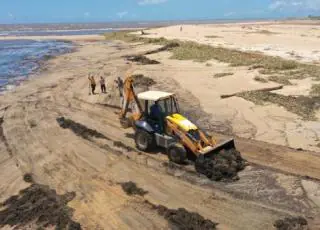 Prefeitura intensifica retirada de baronesas das praias de Mucuri