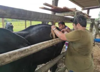 Prefeitura realiza assistências técnicas veterinária e agrícola nas comunidades de Arara e Córrego do Mutum